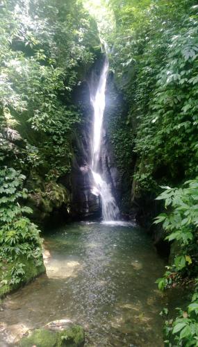 Gallery image of Shin-Liu Garden B&B in Guangfu