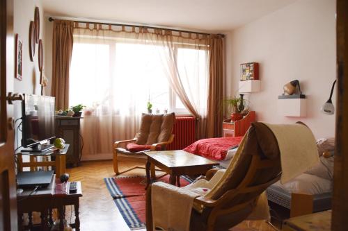ein Wohnzimmer mit einem Sofa und einem Tisch in der Unterkunft Apartament Anca in Timişoara