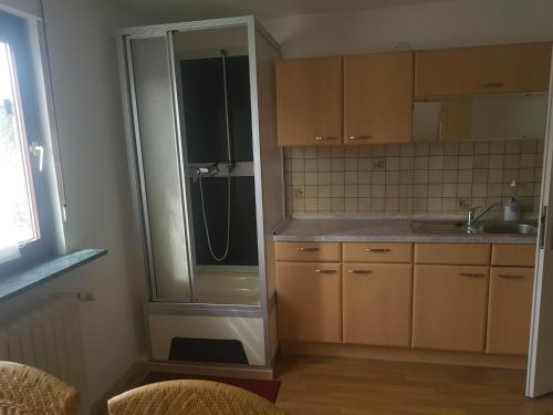 a small kitchen with a shower and a sink at Zum Fuchsbau in Niederhövels