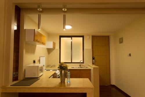 a kitchen with a counter with a microwave in it at Reata Apartment Hotel in Nairobi