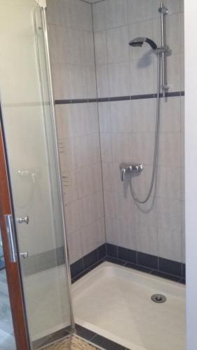 a shower with a glass door in a bathroom at LA FERME DU NIZON in Valeilles