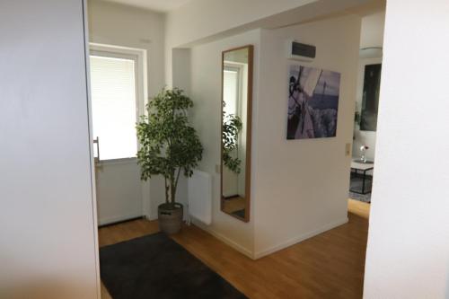 un corridoio con specchio e pianta in vaso di Studio Apartment a Karlshamn
