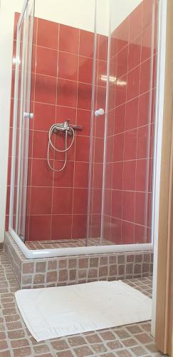 a shower with red tiled walls and a glass door at Coroian House in Cluj-Napoca