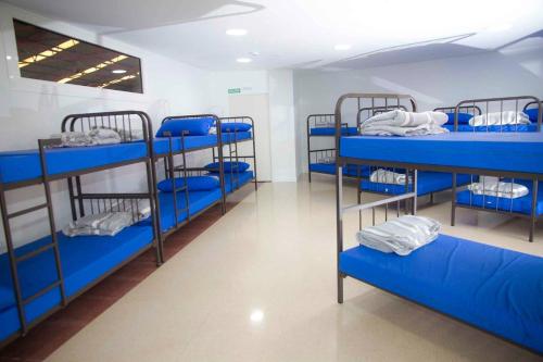 アイェグイにあるAlbergue Municipal San Ciprianoの青い二段ベッドが数台備わる客室です。