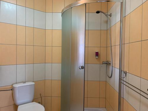 a bathroom with a toilet and a shower at Hotel Patriot in Vranov nad Topľou