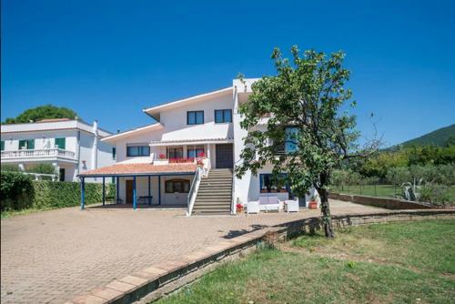 una gran casa blanca con un árbol delante en Verde Blu Lakefront Boutique Holiday Apartments Trevignano Romano en Trevignano Romano