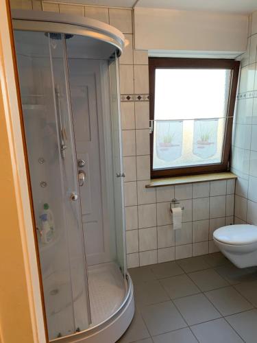 a bathroom with a shower and a toilet at Ferienwohnung Distelkamp in Neuwied