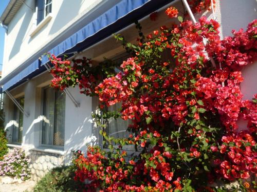 a bunch of red flowers on the side of a building at Hotel Cayrons Vence & St Paul de Vence in Vence
