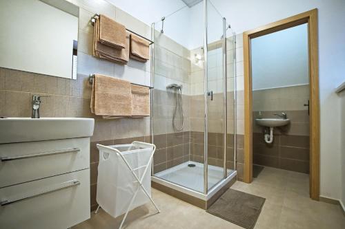 セドレツにある"U Čápa" Krásný apartmán v Sedleciのバスルーム(ガラス張りのシャワー、シンク付)