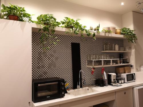 a kitchen with a counter with plants on the wall at Grande Archivio Napoli 22 in Naples