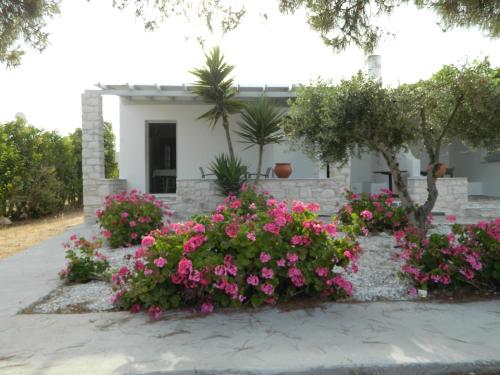 a house with pink flowers in front of it at Christiana Hotel in Ambelas