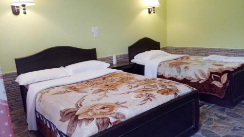 two beds in a room with green walls at New Pokhara Lodge - Pokhara Lakeside in Pokhara