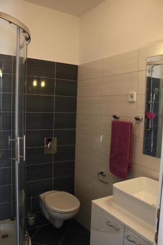 a bathroom with a toilet and a sink and a shower at Hostel Splendido in Šibenik