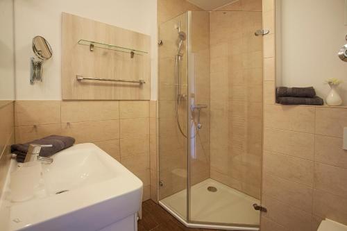 y baño con ducha, lavabo y puerta de ducha acristalada. en Ferienwohnung 39 Residenz Balmer See, en Balm