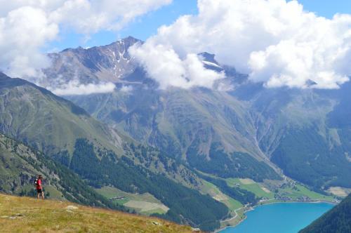 a person standing on top of a mountain overlooking a lake at Berghotel Tyrol in Senales