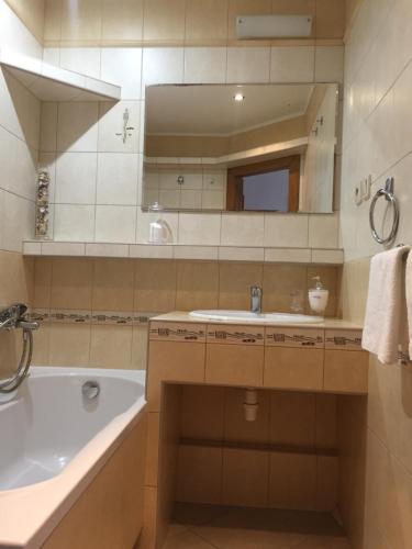 a bathroom with a tub and a sink and a bath tub at DELI Tatry Apartment in Poprad