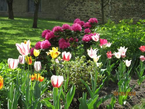 Fotografie z fotogalerie ubytování Herberge im "alten Pfarrhaus" in Schmergow am Havel-Radweg v destinaci Schmergow