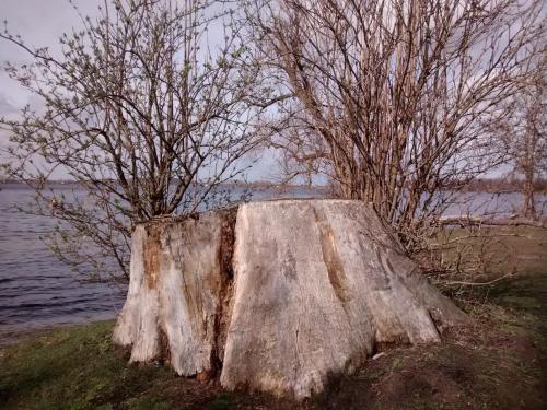 Fotografie z fotogalerie ubytování Herberge im "alten Pfarrhaus" in Schmergow am Havel-Radweg v destinaci Schmergow
