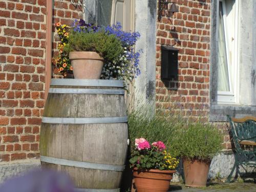 a group of potted plants in pots next to a building at B&B Au Coeur de Villers in Villers-Sainte-Gertrude
