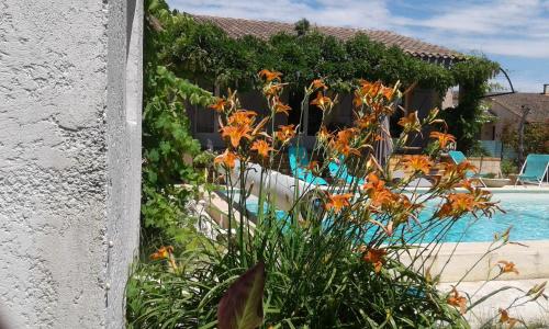 a garden with orange flowers next to a swimming pool at Michèle et Didier Lin in Saint-Laurent-dʼAigouze