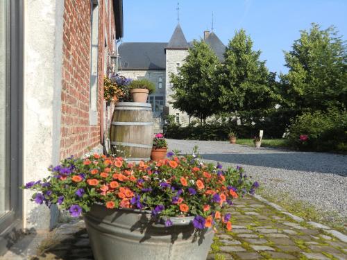 a pot of flowers on the side of a building at B&B Au Coeur de Villers in Villers-Sainte-Gertrude