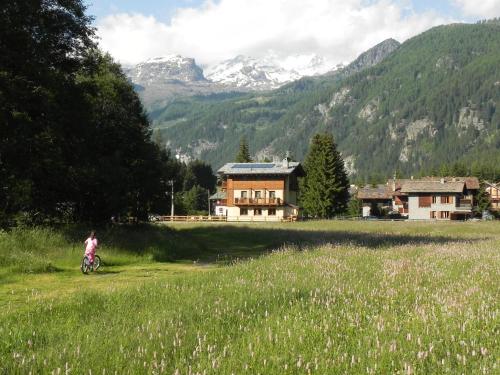 a person riding a bike in a field with a house at Villa Americana Chambres d'Hotes in Champoluc