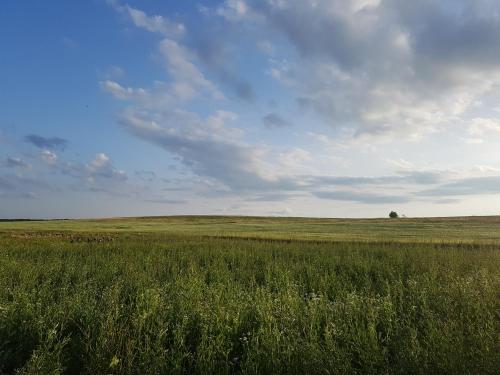 a field of grass with a blue sky and clouds at BIO Farma & Penzión Zlatý Hýľ in Nováčany