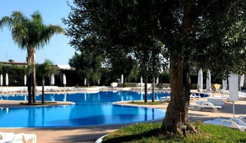 una grande piscina con sedie bianche e alberi di Case Vacanze Eurogarden a San Foca