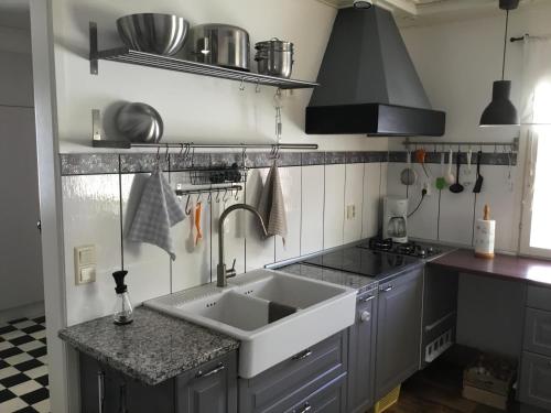 eine Küche mit einer Spüle und einem Herd in der Unterkunft Isokorventie 113 in Dagsmark