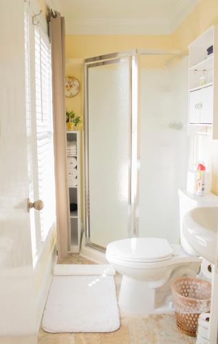 a white bathroom with a toilet and a shower at Wildflower Bed and Breakfast in Mountain View