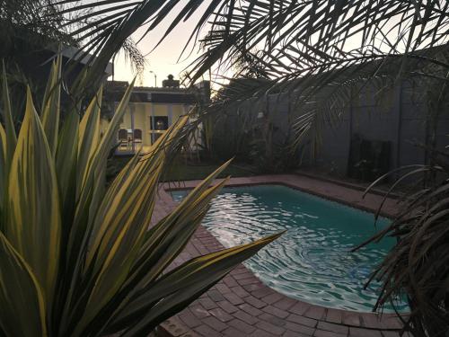 a swimming pool in a greenhouse with plants at Northern Vine Guesthouse B&B Self-catering in Brackenfell