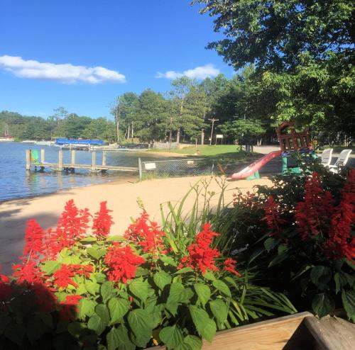 a garden with red flowers in front of a playground at Clear Lake Resort in West Branch