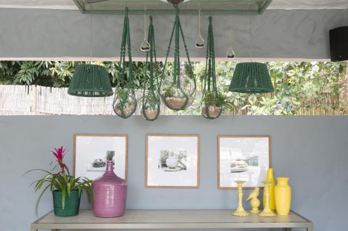 a shelf with pictures of plants and pendant lights at Casa da Lua Pousada in Alto Paraíso de Goiás