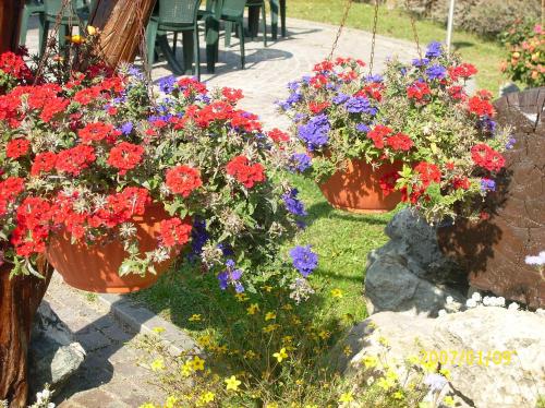 two flower pots filled with red and purple flowers at Hotel Comtes De Challant Albergo Etico Valle d'Aosta in Fenis