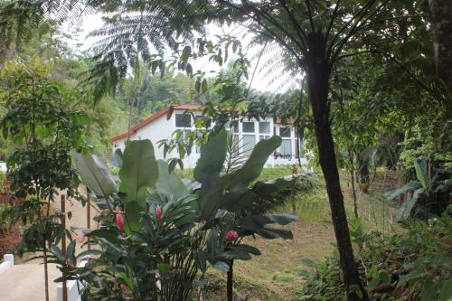 Jardín al aire libre en Sattva Land