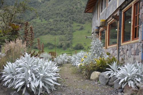 帕帕亞克塔的住宿－SOL DE PIEDRA，一座花园,旁边是白色植物