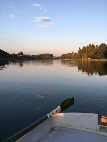 a boat on a lake with a paddle in it at Järveoru in Aidaku