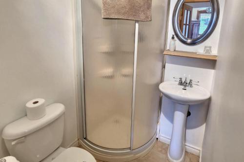 a bathroom with a shower and a toilet and a sink at Gite Le Sieur de Joliette in Montréal