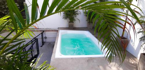 una pequeña piscina en un patio con plantas en Santuario Getsemani Hostel, en Cartagena de Indias