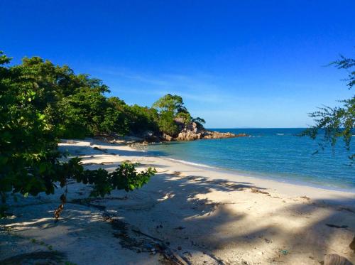 a beach with trees and the ocean on a sunny day at St Barth Villas in Salad Beach