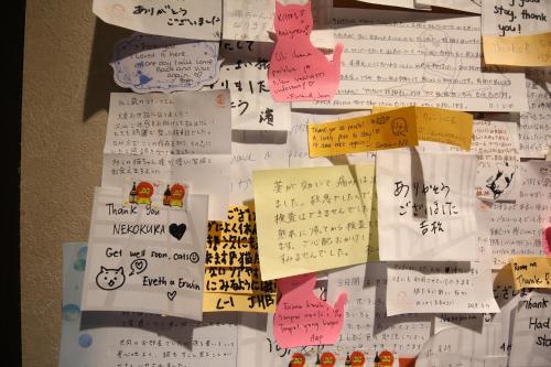 a bunch of notes hanging on a wall at Nekokura Hostel in Fukuoka