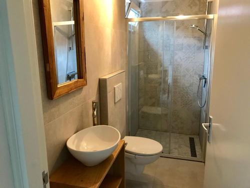 a bathroom with a shower and a toilet and a sink at Ferienhaus Glücklich am Meer 3 mit Wellnesszugang in Egmond aan Zee
