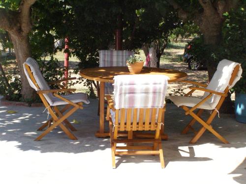ein Holztisch und Stühle mit einer Topfpflanze darauf in der Unterkunft To Ktima tis Matinas in Stafylos