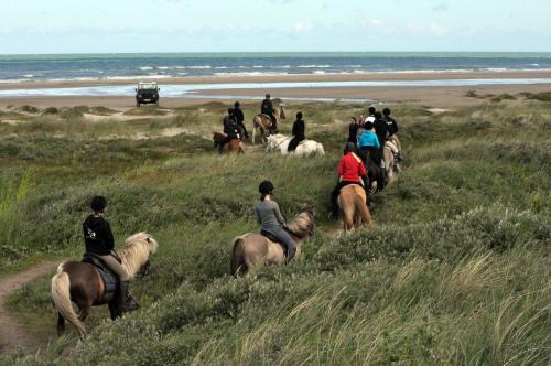 a group of people riding horses on the beach at Nordkap Farm Holiday & Hostel in Bindslev