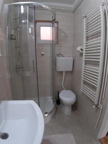 a bathroom with a shower and a toilet and a sink at Apartment Teodora in Belgrade