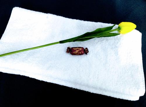 a yellow flower sitting on top of a white napkin at Noclegi na Heweliusza in Sanok