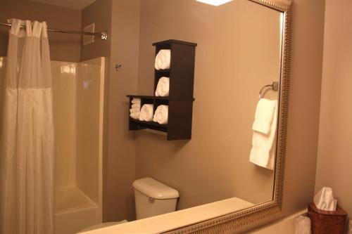 a bathroom with a mirror and a toilet and a shower at GrandStay Residential Suites Hotel - Eau Claire in Eau Claire