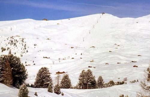 a snow covered mountain with trees on it at Garni Le Chalet in Santa Cristina in Val Gardena