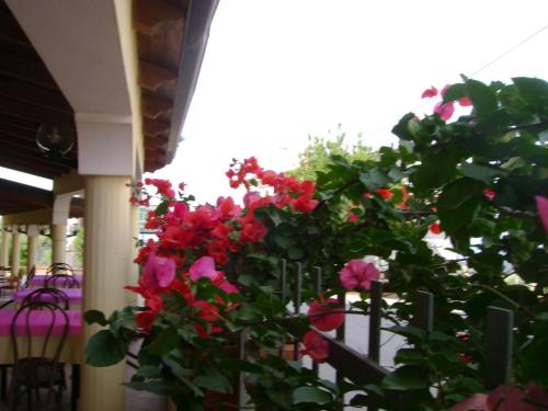 B&B Belvedere – Photos 3