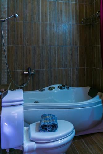 a bathroom with a toilet and a bath tub at ''EPAVLIS boutique GALAXIDI'' in Galaxidhion